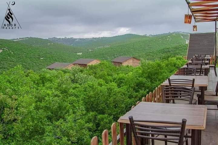 Exploring Northern Jordan: History, Nature, and Hidden Gems in Jerash and Ajloun