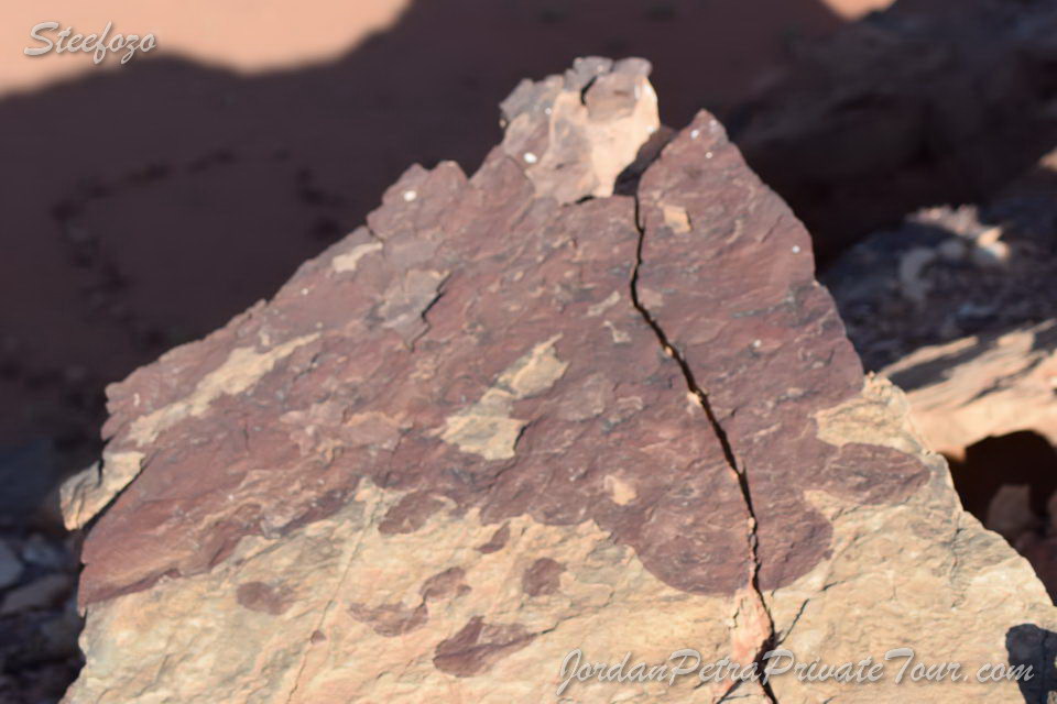 Wadi Rum Camping Geology 011