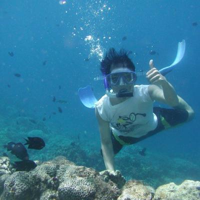 Snorkeling Red Sea Aqaba